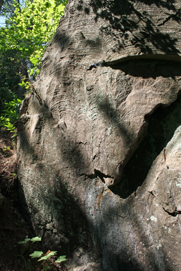 Stromatolites at Marquette