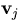 ${\bf v}_j$