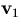 ${\bf v}_1$