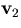 ${\bf v}_2$