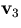 ${\bf v}_3$