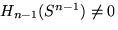 $H_{n-1} (S^{n-1}) \neq 0$